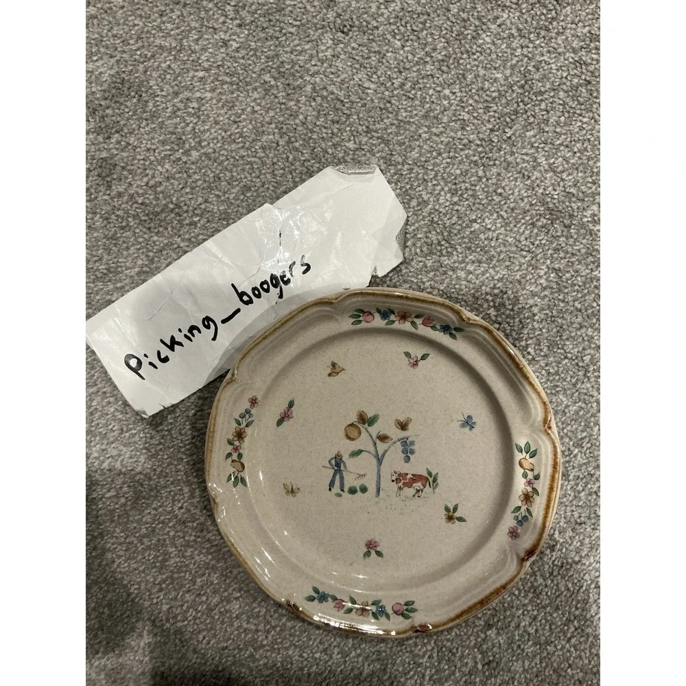 Set of 10 International Heartland Dinner Plate Farmhouse Country Stoneware Sakur